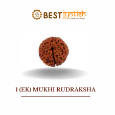 1 (Ek) Mukhi Rudraksha