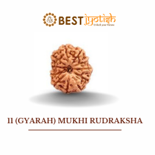 11 (Gyarah) Mukhi Rudraksha