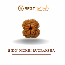 2 (Do) Mukhi Rudraksha
