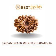 15 (Pandrah) Mukhi Rudraksha