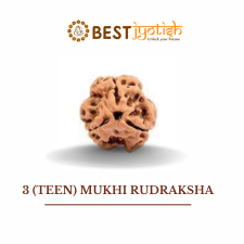 3 (Teen) Mukhi Rudraksha