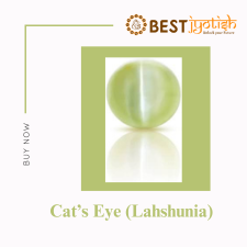Cat’s Eye (Lahshunia) 2