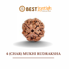 4 (Char) Mukhi Rudraksha