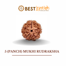 5 (Panch) Mukhi Rudraksha
