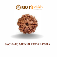 6 (Chah) Mukhi Rudraksha