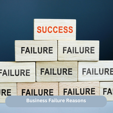 Business Failure Reasons