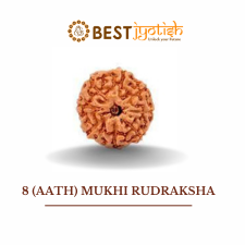 8 (Aath) Mukhi Rudraksha
